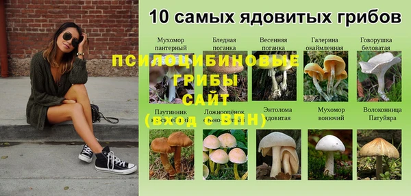 экстази Алексин