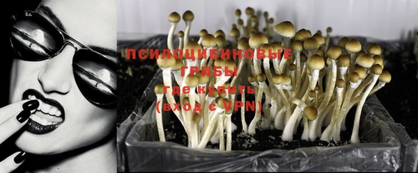 мескалин Алексеевка